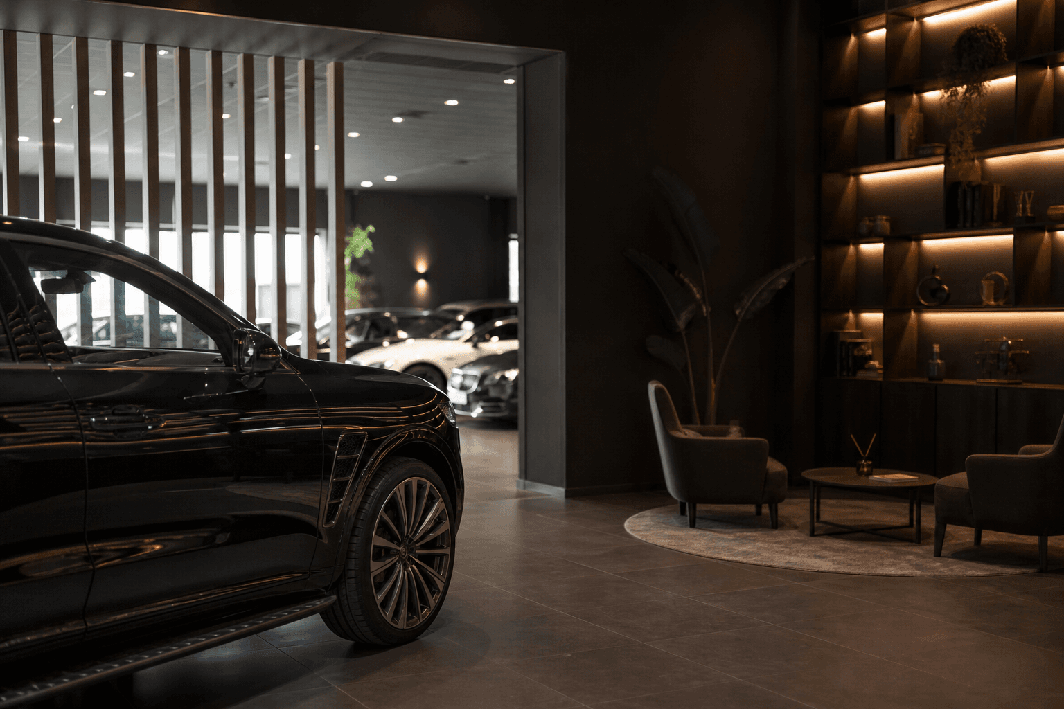 Showroom Auto Dinamismo